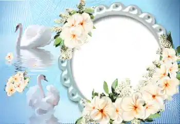 Fotografický efekt z kategorie Rámečky pro zamilované № 12891