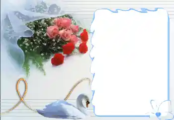 Fotografický efekt z kategorie Rámečky pro zamilované № 12892