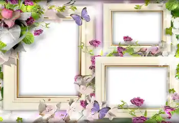 Fotografický efekt z kategorie Rámečky pro zamilované № 141166