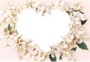 Fotografický efekt z kategorie Rámečky pro zamilované № 14892