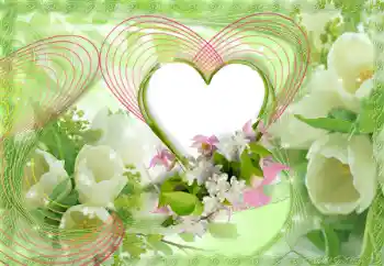 Fotografický efekt z kategorie Rámečky pro zamilované № 153052