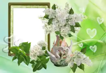 Fotografický efekt z kategorie Rámečky pro zamilované № 153257