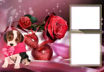 Fotografický efekt z kategorie Rámečky pro zamilované № 154605