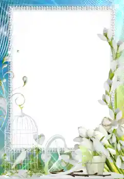 Fotografický efekt z kategorie Rámečky pro zamilované № 158305