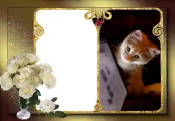 Fotografický efekt z kategorie Rámečky pro zamilované № 163583