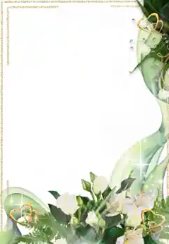 Fotografický efekt z kategorie Rámečky pro zamilované № 16998