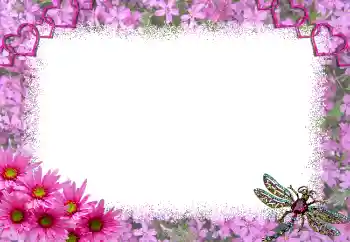 Fotografický efekt z kategorie Rámečky pro zamilované № 1817