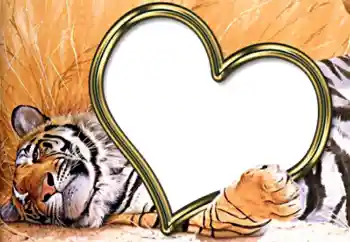 Fotografický efekt z kategorie Rámečky pro zamilované № 2202