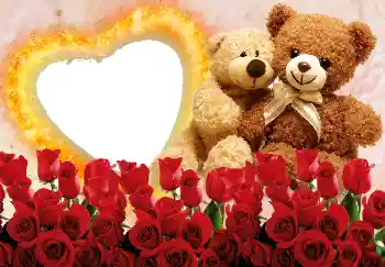 Fotografický efekt z kategorie Rámečky pro zamilované № 2215