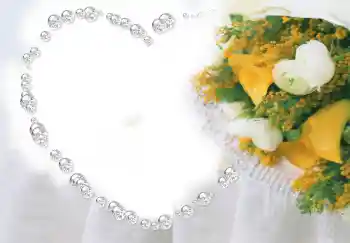 Fotografický efekt z kategorie Rámečky pro zamilované № 2856