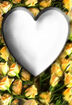 Fotografický efekt z kategorie Rámečky pro zamilované № 32804