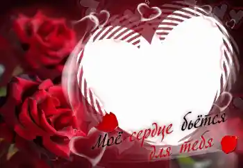 Nápis na rámečku: Моё сердце бьётся для тебя