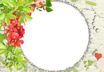 Nápis na rámečku: love