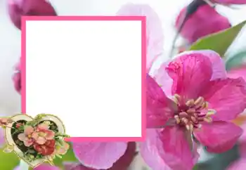 Fotografický efekt z kategorie Rámečky pro zamilované № 43593