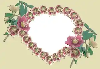 Fotografický efekt z kategorie Rámečky pro zamilované № 49524