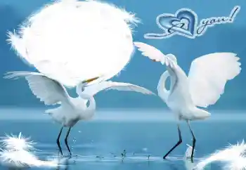 Nápis na rámečku: I love you!