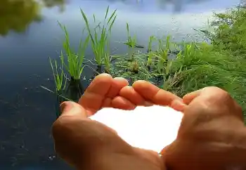 Fotografický efekt z kategorie Rámečky pro zamilované № 67019