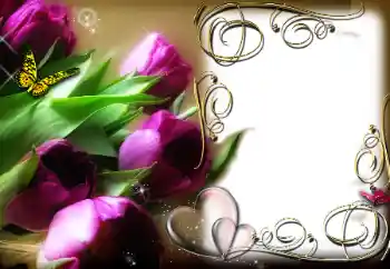 Fotografický efekt z kategorie Rámečky pro zamilované № 78969