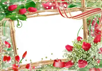 Fotografický efekt z kategorie Rámečky pro zamilované № 91729