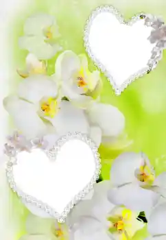 Fotografický efekt z kategorie Rámečky pro zamilované № 91900