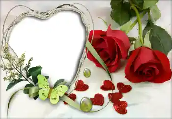 Fotografický efekt z kategorie Rámečky pro zamilované № 9605