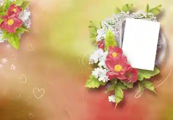 Fotografický efekt z kategorie Rámečky pro zamilované № 99937
