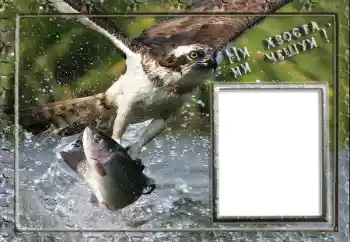 Fotografický efekt z kategorie Mužské fotorámečky № 88119. Nápis na rámečku: Rybaření