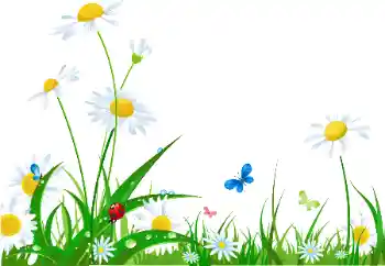 Nápis na rámečku: Šťastný Mezinárodní Den Žen