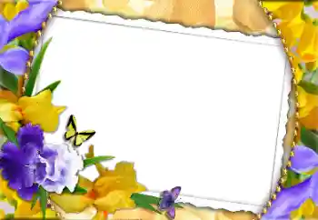 Nápis na rámečku: Šťastný Mezinárodní Den Žen