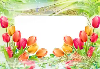 Nápis na rámečku: 8. března Nápis na rámečku: 8. března