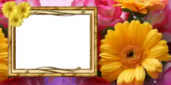 Fotografický efekt z kategorie Pohlednice na Mezinárodní den žen № 42675