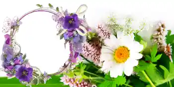 Fotografický efekt z kategorie Pohlednice na Mezinárodní den žen № 42739