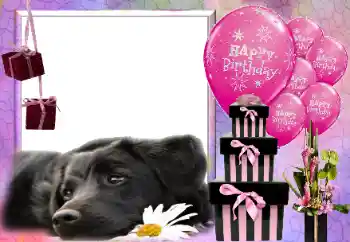 Nápis na rámečku: Happy Birthday! Nápis na rámečku: Happy Birthday!