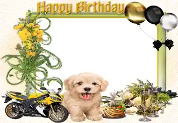 Nápis na rámečku: Šťastné Narozeniny! Nápis na rámečku: Šťastné Narozeniny!