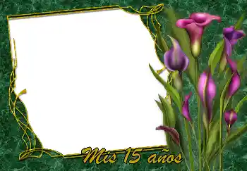 Nápis na rámečku: Šťastné Narozeniny! Nápis na rámečku: Šťastné Narozeniny!