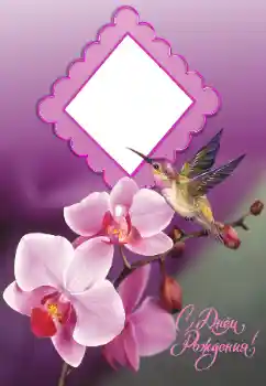 Nápis na rámečku: Šťastné Narozeniny! Nápis na rámečku: Šťastné Narozeniny!