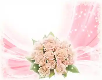 Nápis na rámečku: Šťastné Narozeniny!