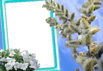 Fotografický efekt z kategorie Pohlednice na Velikonoce № 131205