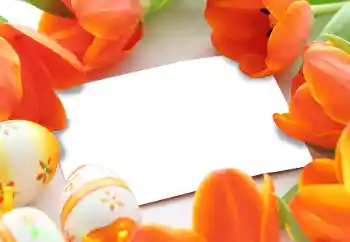 Fotografický efekt z kategorie Pohlednice na Velikonoce № 93170