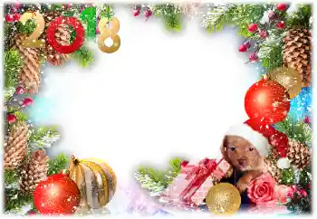 Nápis na rámečku: 2026