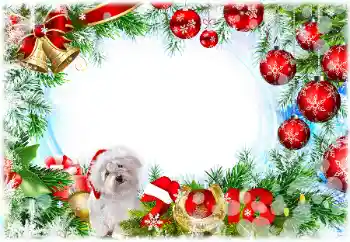 Nápis na rámečku: 2026 Nápis na rámečku: 2026