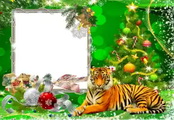 Fotografický efekt z kategorie Pohlednice pro Nový rok № 194162