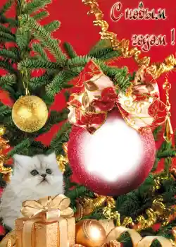 Nápis na rámečku: Šťastný Nový Rok!