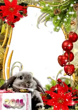 Fotografický efekt z kategorie Pohlednice pro Nový rok № 648