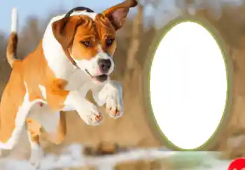 Nápis na rámečku: Šťastný Nový Rok!