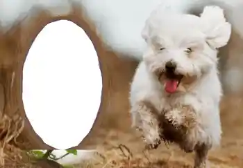 Nápis na rámečku: Šťastný Nový Rok!