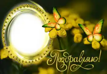 Fotografický efekt z kategorie Různé svátky № 131482. Nápis na rámečku: Blahopřejeme!