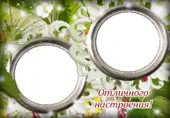 Fotografický efekt z kategorie Různé svátky № 139887. Nápis na rámečku: Přeji skvělou náladu!