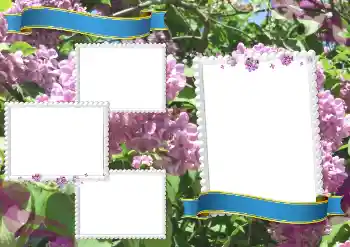 Fotografický efekt z kategorie Různé školní № 205334