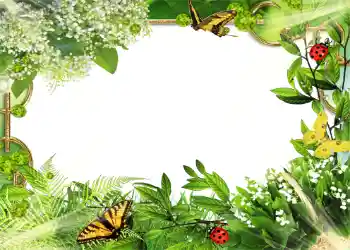 Fotografický efekt z kategorie Leto № 1109 Fotografický efekt z kategorie Leto № 1109